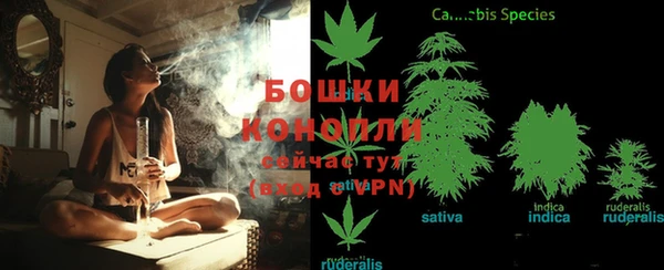 бошки Абаза