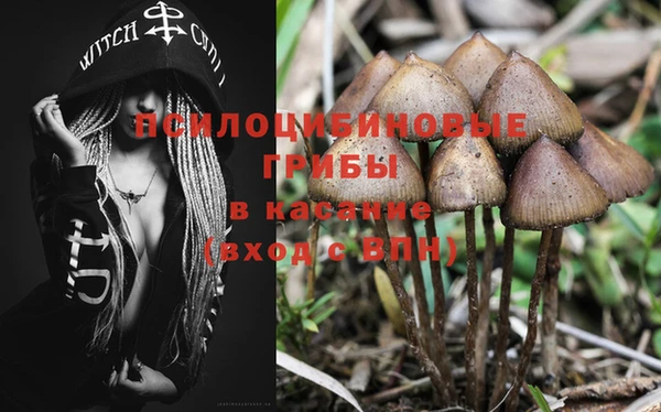 бошки Абаза