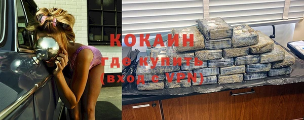 бошки Абаза