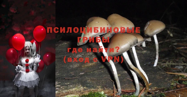 спайс Алексин