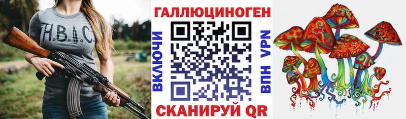 Галлюциногенные грибы GOLDEN TEACHER  МЕГА ссылки  Хадыженск 